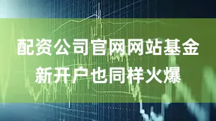 配资公司官网网站基金新开户也同样火爆