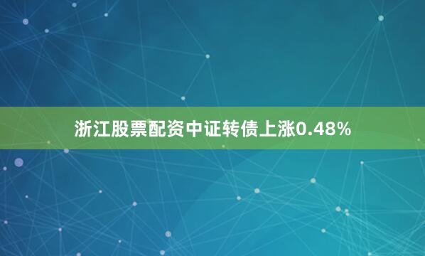 浙江股票配资中证转债上涨0.48%