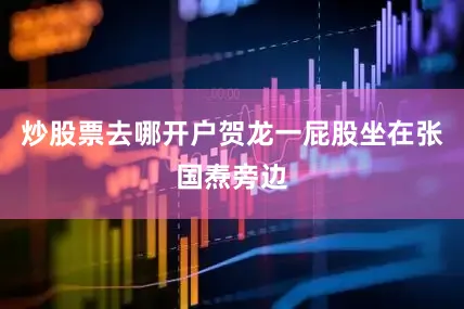 炒股票去哪开户贺龙一屁股坐在张国焘旁边